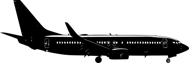 Flight Icon